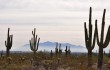 Phoenix: The Couples Getaway Guide