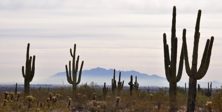 Phoenix: The Couples Getaway Guide